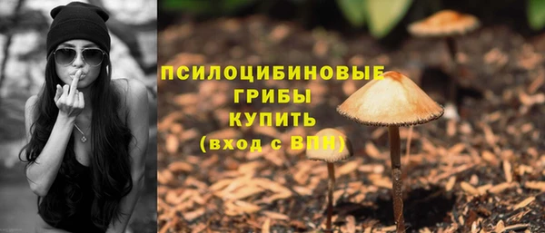 ешки Коряжма
