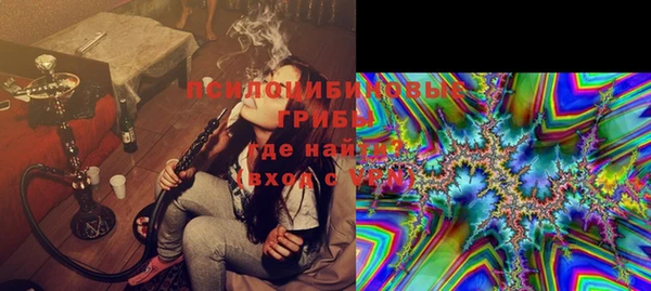 круглые Корсаков
