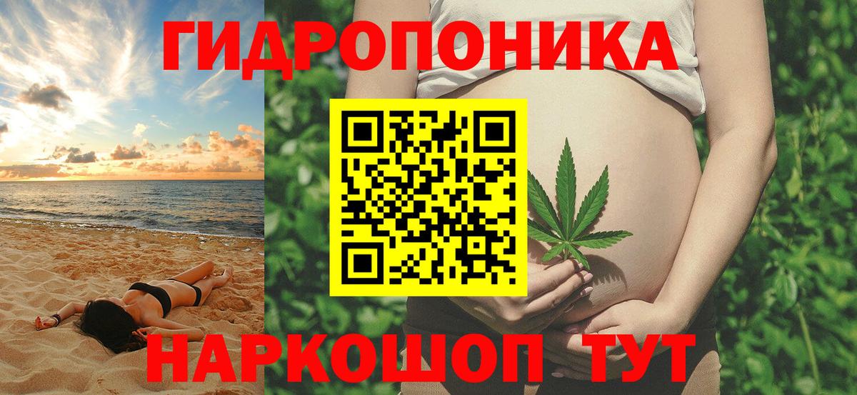 Шишки марихуана планчик Курган